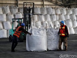 Petani Tolak Rencana Impor Gula: Stok Cukup Sampai Tahun Depan