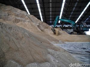 RI Kebanjiran Impor Raw Sugar, Komisi VII DPR Singgung Gula Empire! RI Kebanjiran Impor Raw Sugar, Komisi VII DPR Singgung Gula Empire!