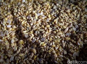 Kedelai Impor Ancam Harga Tahu-Tempe Naik, Produksi Lokal Bisa Digeber?