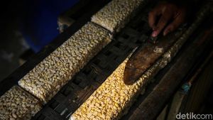 Waduh, Harga Tempe Diprediksi Naik Gegara Kedelai Mahal