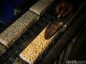 Harga Kedelai Dunia Nanjak, Siap-siap Tahu-Tempe Tambah Mahal Harga Kedelai Dunia Nanjak, Siap-siap Tahu-Tempe Tambah Mahal