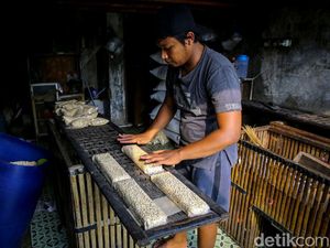 25+ Contoh Bioteknologi Konvensional Lengkap dengan Ciri hingga Manfaatnya 25+ Contoh Bioteknologi Konvensional Lengkap dengan Ciri hingga Manfaatnya