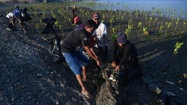 Bersih-bersih Pantai di Hari Lingkungan Hidup Sedunia
