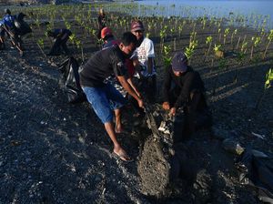 Bersih-bersih Pantai di Hari Lingkungan Hidup Sedunia Bersih-bersih Pantai di Hari Lingkungan Hidup Sedunia