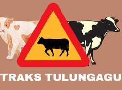 Ada Kasus Antraks di Tulungagung, Sapi Satu Desa Di-lockdown