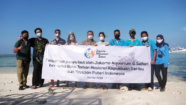 Pelepasliaran penyu dan tukik di Pulau Karya, Kepulauan Seribu.