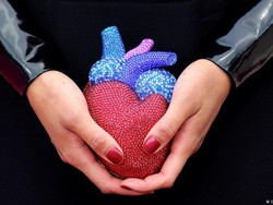 Jantung Perempuan Lebih Rentan Dibanding Jantung Pria