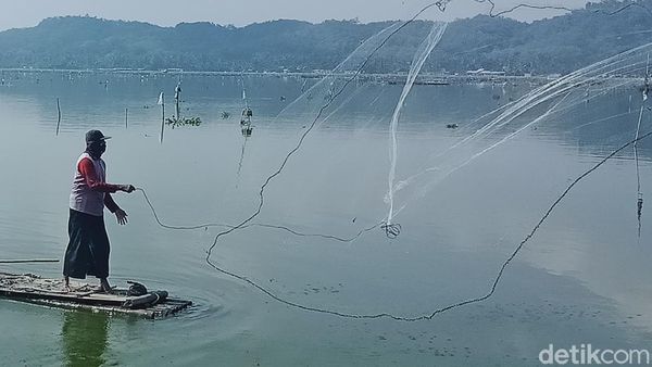 Menyambung Hidup dengan Jaring Ikan di Rawa Jombor Klaten