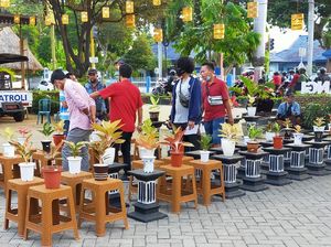 Banyuwangi Gelar Kontes dan Lelang Tanaman Hias, Hasilnya untuk Dhuafa