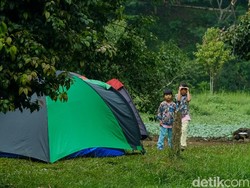 Catat Ya! Area Kemping Taman Nasional Gunung Gede Pangrango juga Ditutup
