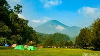 Ini Tempat Camping Asyik di Cibodas