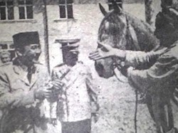 Kuda dan Tiga Presiden Kita