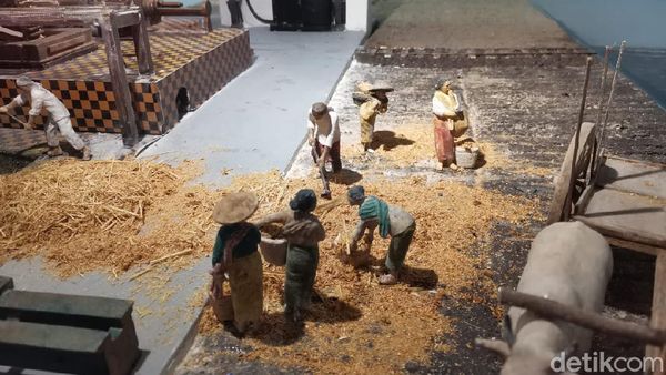 Tengok Pabrik Gula Kejayaan Indonesia Zaman Dulu, Sempat Tutup 18 Tahun