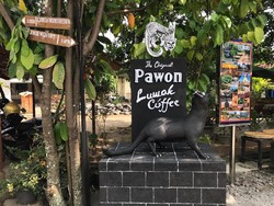 Seru! Di Dekat Borobudur Bisa Belajar Soal Kopi Luwak di Kafe Ini