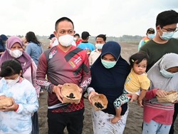 Jaga Kelestarian Alam, Bupati Kebumen Lepas Puluhan Tukik di Pantai