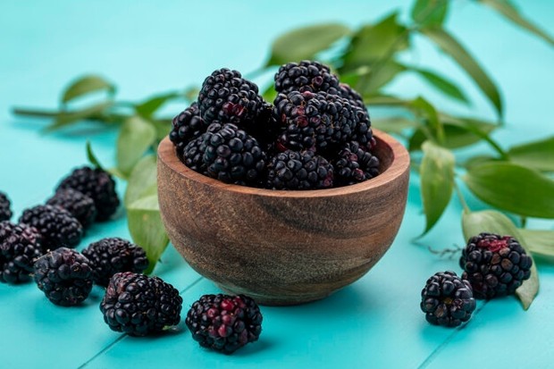 Blackberry/Foto: freepik.com Jenis dan Manfaat Buah Berry untuk Kesehatan
