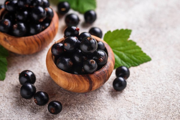 Blackcurrant/Foto: freepik.com Jenis dan Manfaat Buah Berry untuk Kesehatan