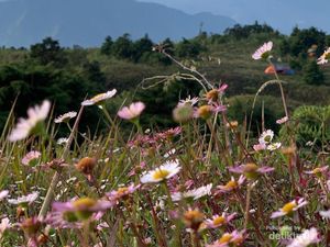 Apa Itu Takwa? Begini Arti dan Cara Mencapainya