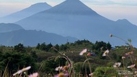 Mulai 19 Januari 2026, Pendakian Gunung Prau Bakal Ditutup 2 Bulan
