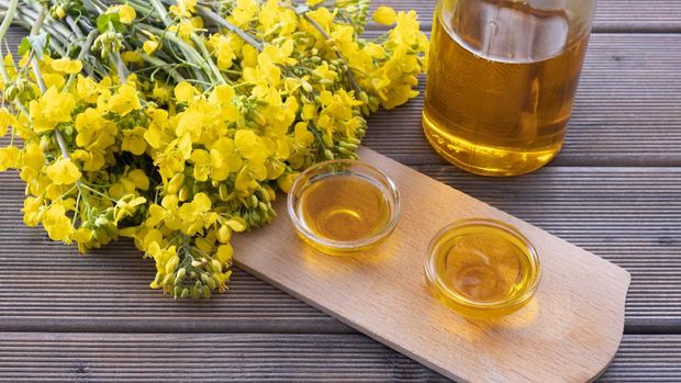 bottle and cups with rapeseed oil, next to young rapeseed flowers on a wooden table