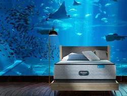 Cara Promo Brand Kasur: Bobo Sambil Lihat Hiu