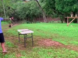 Video Viral Mark Zuckerberg Pamer Jago Panah dan Lempar Tombak