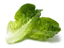 Minum Air Selada Hangat Bisa Atasi Insomnia, Apa Benar?