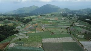 Potensi Wisata Lereng Gunung Sumbing