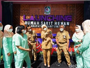 Banyuwangi Kini Punya Rumah Sakit Khusus Hewan, Fasilitas UGD Hingga Rawat Inap Banyuwangi Kini Punya Rumah Sakit Khusus Hewan, Fasilitas UGD Hingga Rawat Inap