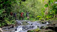 Kerja Keras Para Jagawana Hutan Leuser