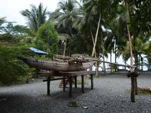 Foto Perahu Teluk Tanah Merah Papua, Bisa Dibedakan Jenis Kelaminnya Foto Perahu Teluk Tanah Merah Papua, Bisa Dibedakan Jenis Kelaminnya