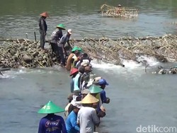 Jelang Kemarau, Ratusan Warga Kuningan Gotong Royong Membendung Sungai
