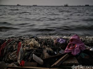 Greenpeace Sebut Arab Saudi Tak Berambisi Atasi Sampah Plastik Global Greenpeace Sebut Arab Saudi Tak Berambisi Atasi Sampah Plastik Global