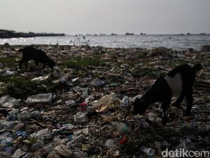Limbah Anorganik : Contoh dan Cara Pengelolaannya Limbah Anorganik : Contoh dan Cara Pengelolaannya