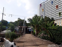 Jembatan Bambu Reyot Jakbar Berumur 10 Tahun, Warga Harapkan Perbaikan