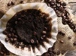 7 Manfaat Ampas Kopi untuk Masker hingga Bersihkan Peralatan Dapur