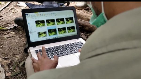 Penampakan Makhluk Misterius di Sumbar Terekam Kamera