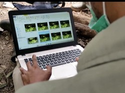 Terungkap! Ini Makhluk Misterius Bikin Gempar Warga Sumbar