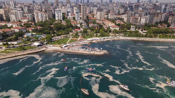 Menengok Operasi Bersih-bersih Ingus Laut di Turki