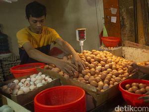 PPN Sembako Bikin Geger, Ini Penjelasan Lengkap Ditjen Pajak