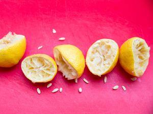 Dosen UNS Beri Tips Mengelola Sisa Makanan agar Tak Menjadi Sampah Dosen UNS Beri Tips Mengelola Sisa Makanan agar Tak Menjadi Sampah