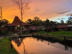 Wisata Kuliner Sambil Liat yang Segar-Segar di Bogor? di Sini Tempatnya