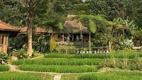 Kuliner hingga Camping, Ini Wisata Hits di Sentul