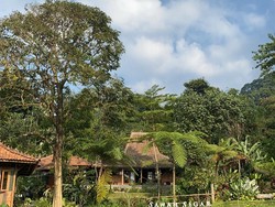 Porter Pengevakuasi Soe Hok Gie- 5 Rekomendasi Wisata Sentul