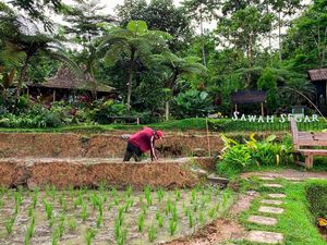 5 Wisata Alam di Bogor yang Lagi Hits, Cocok Buat Melepas Penat 5 Wisata Alam di Bogor yang Lagi Hits, Cocok Buat Melepas Penat