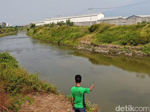 Buaya yang Muncul di Sungai Sadar Mojokerto Tak Perlu Dievakuasi Buaya yang Muncul di Sungai Sadar Mojokerto Tak Perlu Dievakuasi