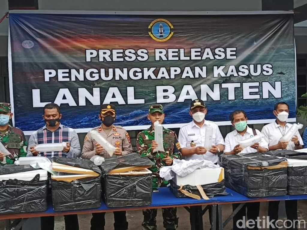 Penyelundupan Benur Senilai Rp 7,8 M ke Vietnam Digagalkan TNI AL Penyelundupan Benur Senilai Rp 7,8 M ke Vietnam Digagalkan TNI AL