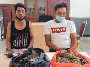 Polisi Tangkap 2 Penjual 3,4 Kg Sisik Trenggiling di Riau