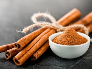 10 Bau yang Dibenci Semut, Kulit Jeruk hingga Bubuk Kopi 10 Bau yang Dibenci Semut, Kulit Jeruk hingga Bubuk Kopi