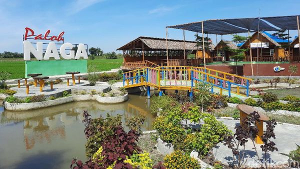 Denai Lama, Dulu Tempat Jin Buang Anak Kini Bernilai Ratusan Juta